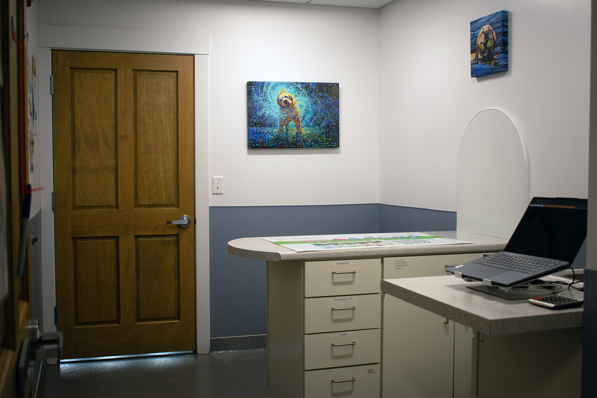 Champlain Veterinary Clinic interior