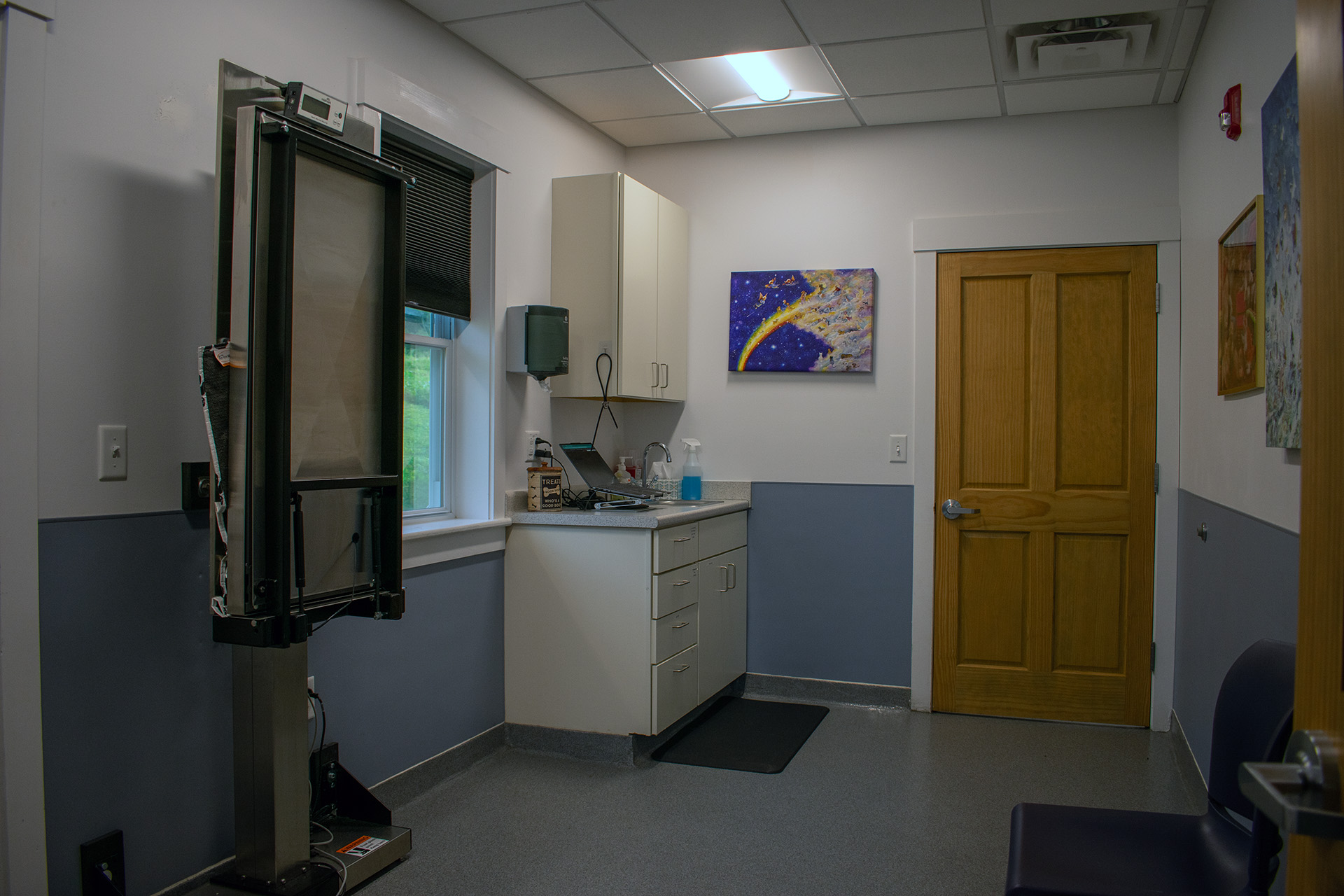 Champlain Veterinary Clinic interior