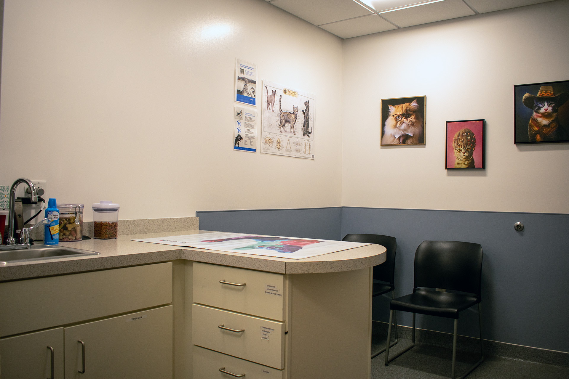Champlain Veterinary Clinic interior