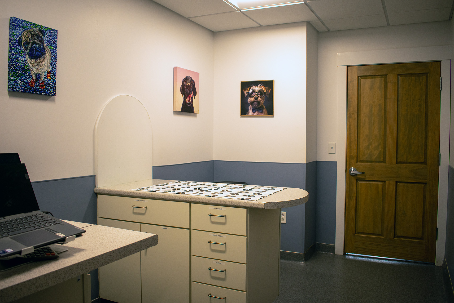Champlain Veterinary Clinic interior
