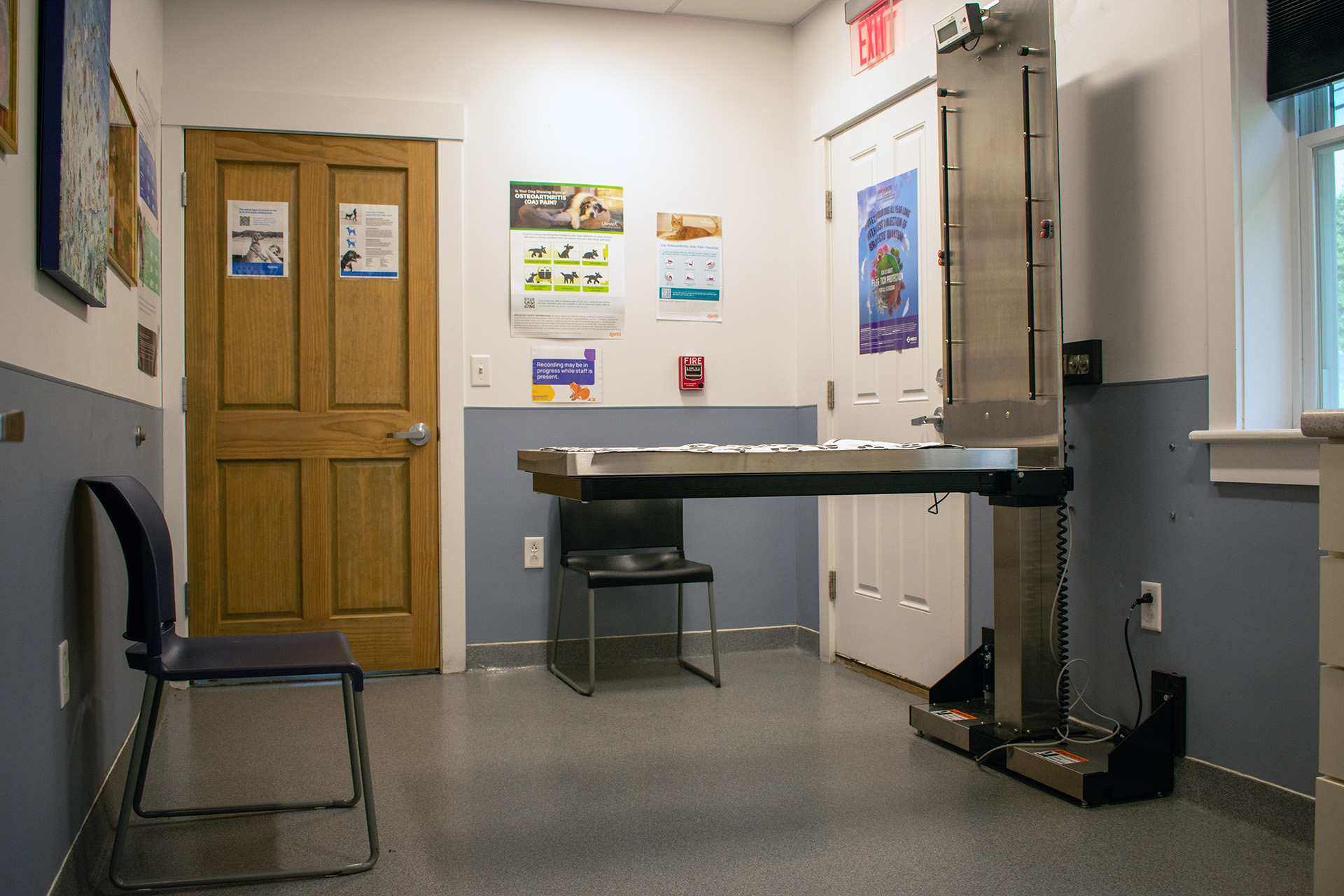 Champlain Veterinary Clinic interior