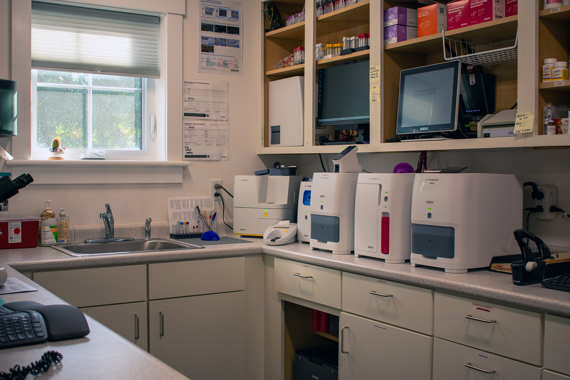 Champlain Veterinary Clinic interior