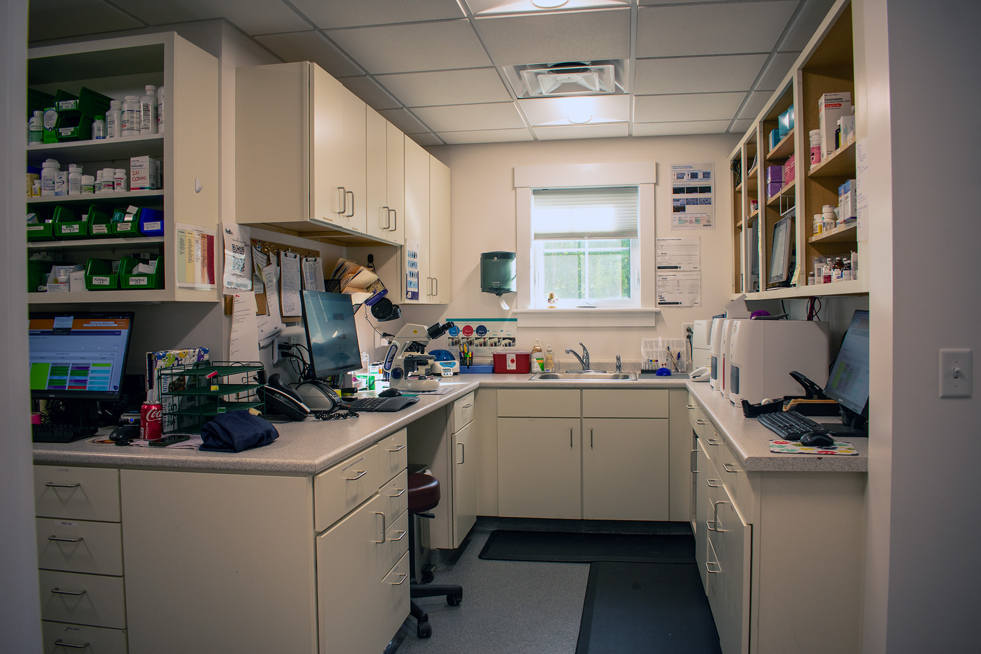 Champlain Veterinary Clinic interior