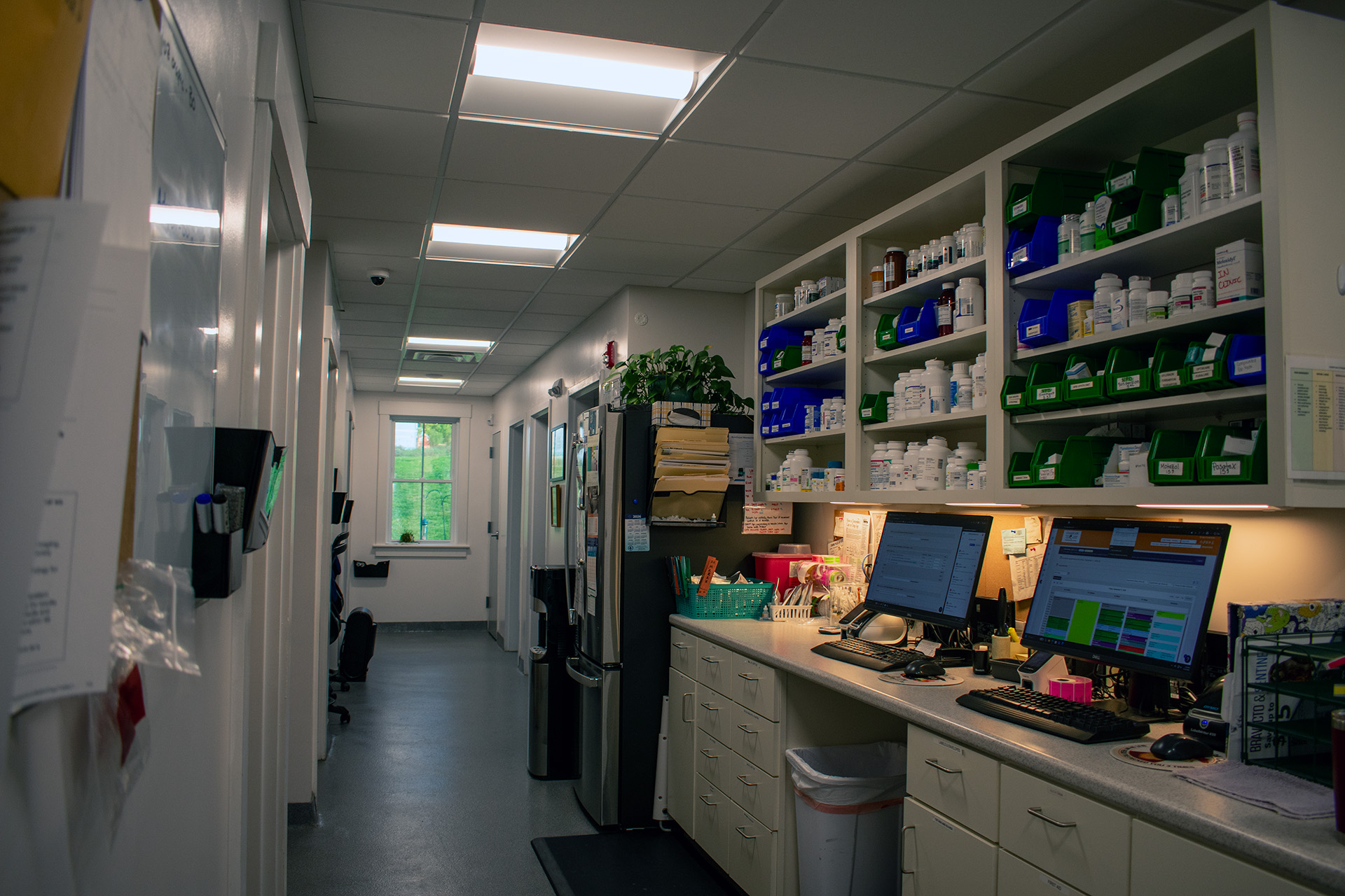 Champlain Veterinary Clinic interior