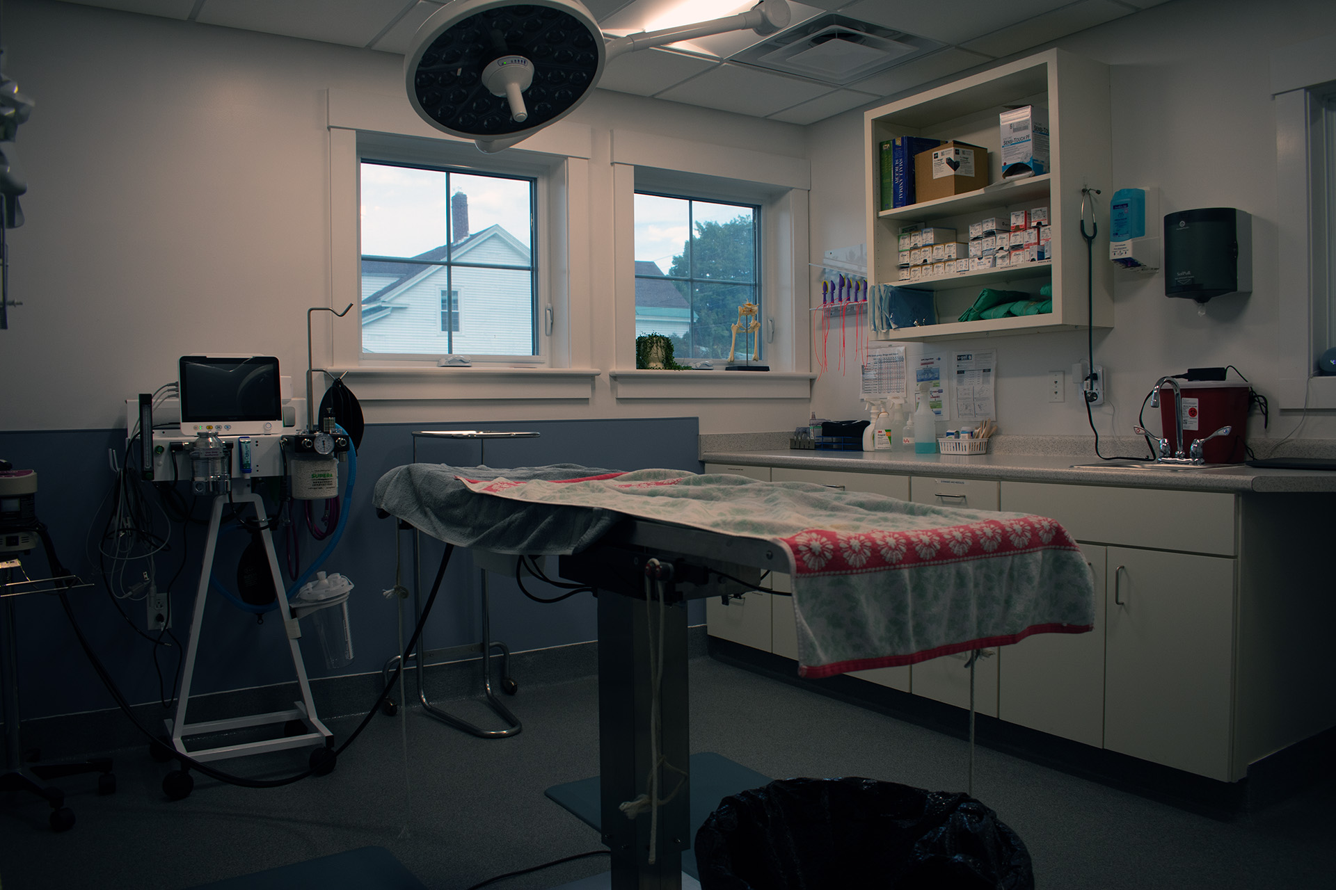 Champlain Veterinary Clinic interior