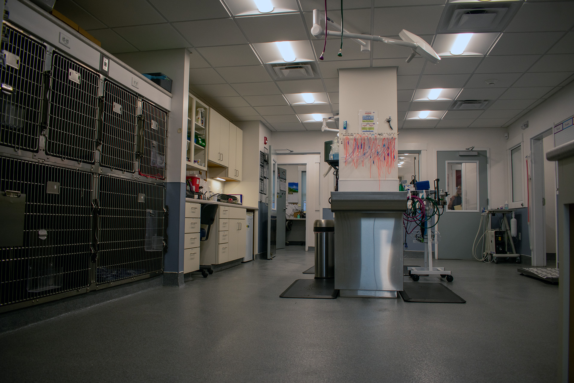Champlain Veterinary Clinic interior
