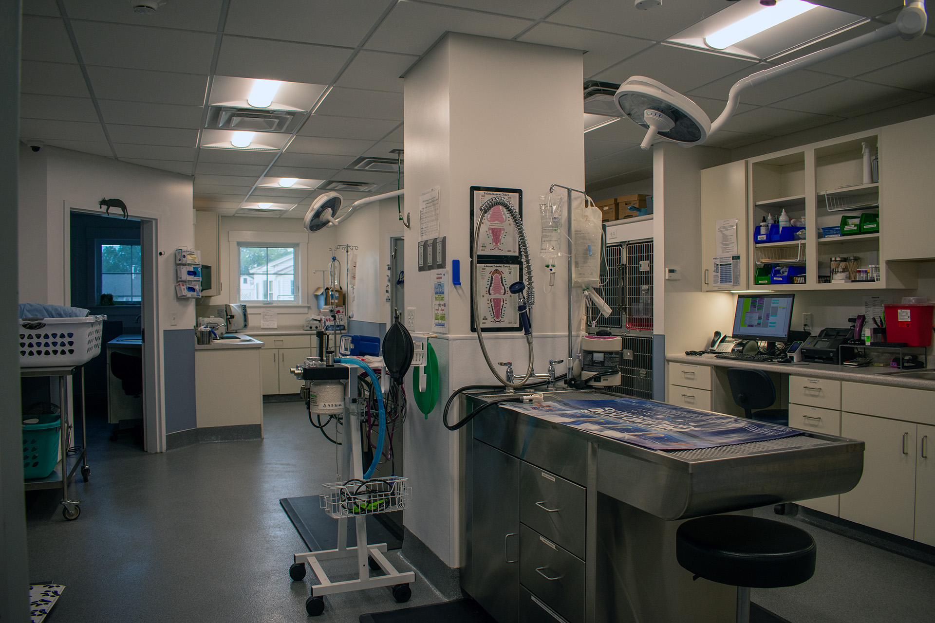 Champlain Veterinary Clinic interior